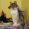 Отзыв от Гульнара Яковлева